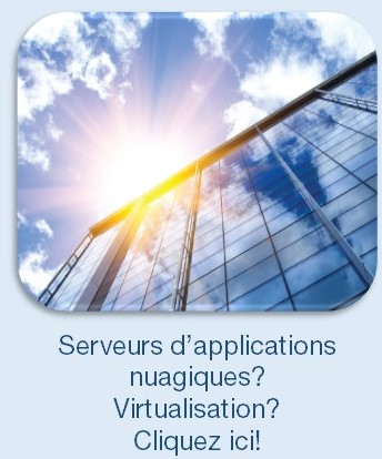 Blu-serveurs-application